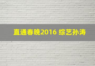 直通春晚2016 综艺孙涛